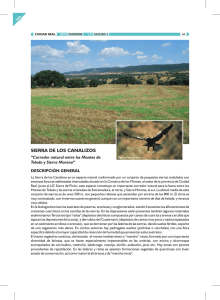 Ficha descriptiva de la Sierra de los Canalizos