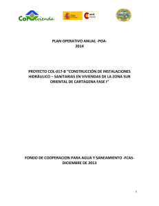 plan operativo anual -poa - del FCAS