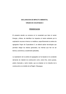 DECLARACION DE IMPACTO AMBIENTAL VIRGEN DE