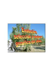 Evolución, selección y mejora genética.