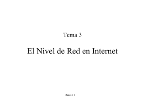 El Nivel de Red en Internet
