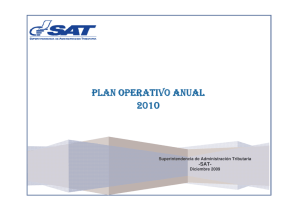 Plan operativo anual 2010