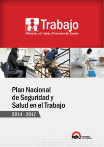 plan nacional de seguridad y salud en el trabajo 2014-2017