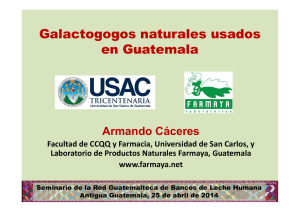 Galactogogos naturales usados en Guatemala