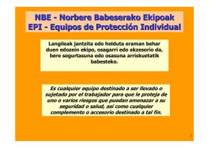 NBE - Norbere Babeserako Ekipoak EPI