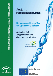 Apéndice 11.5: Alegaciones a los documentos