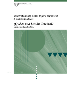 Brain Injury: A Guide for Employers - MC1298SP