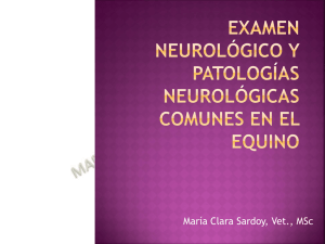 Examen neurológico y patologías comunes en el equino