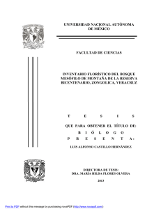 TESIS: Inventario florístico del bosque mesófilo de montaña de la