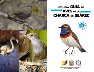 pequeña guía de las aves de la Charca de Suárez