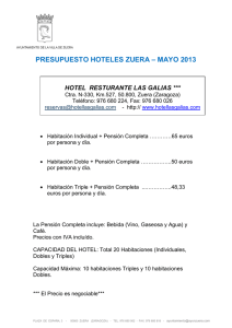PRESUPUESTO HOTELES ZUERA – MAYO 2013