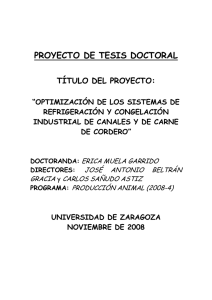 PROYECTO DE TESIS DOCTORAL