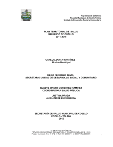 plan territorial de salud municipio de coello 2011-2015