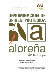Denominación de origen Protegida Aceituna Aloreña de Málaga