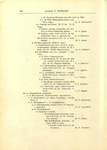 X In fructibus Oiirorum (con. 6,5 » 4) 9. O. Oitri XX In foliis