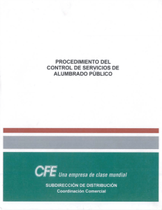 `C-f=fE Una empresa de clase mundial