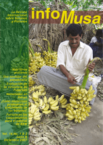 InfoMusa: la revista internacional sobre bananos y platanos spa