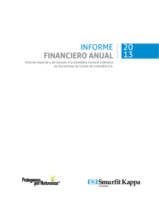 Informe Financiero Anual 2013