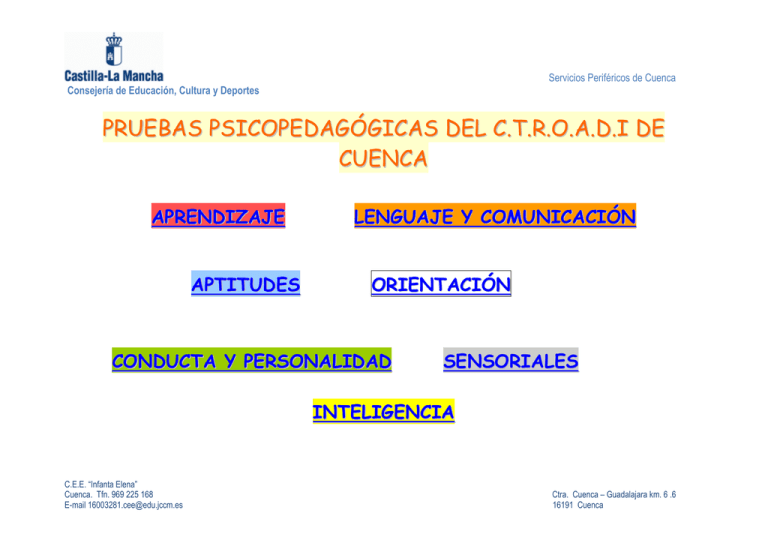 PRUEBAS PSICOPEDAGOGICAS POR AREAS