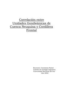 correlacion de las unidades gondwanica entre la cuenca neuquina