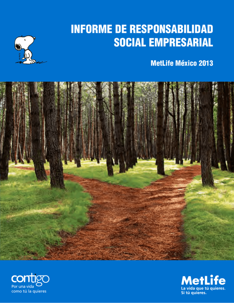 Informe De Responsabilidad Social Empresarial