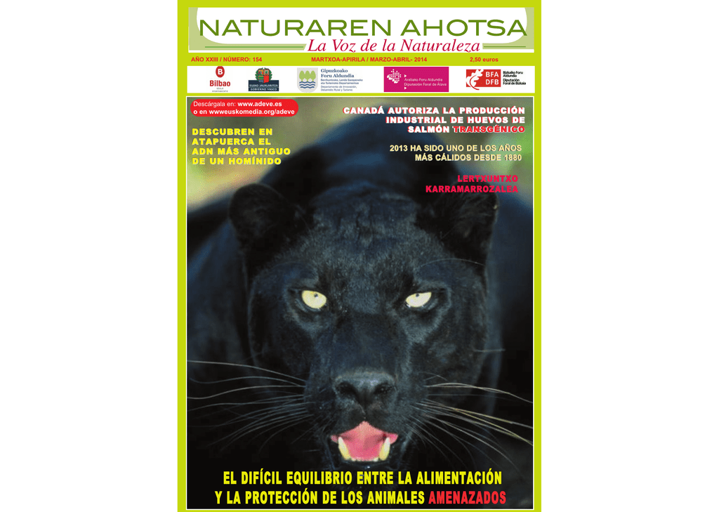 Pegatinas de vinilo transparente Woodland Animales Tejón Fox Laptop Calcomanía claro