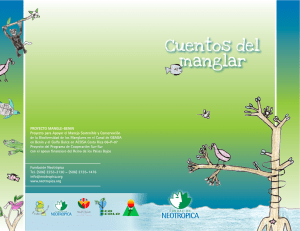 Cuentos del manglar - Fundación Neotrópica