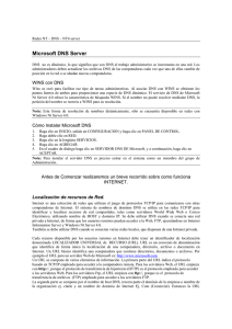 Utilizacion de Microsoft DNS server de Nt4