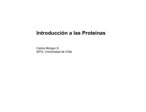 Introducción a las Proteínas - U