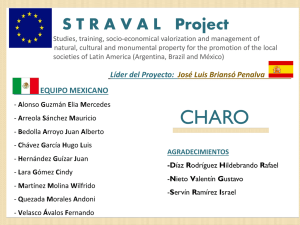 Diapositiva 1 - STRAVAL Project