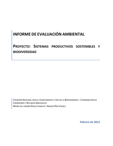 informe de evaluación ambiental