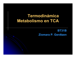 3.4. Termodinamica y TCA - U