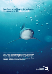 Fortalecer la prohibición del aleteo de tiburones en la UE