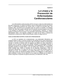 La Linaza y la Prevención de Enfermedades Cardiovasculares