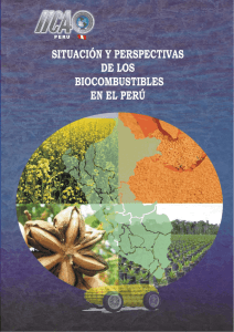 situación y perspectivas de los biocombustibles en el perú