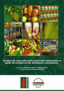 sondeo de mercado de frutales amazonicos