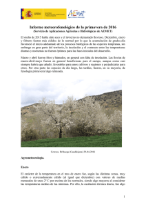 Informe agrometeorológico y fenológico de la primavera 2016