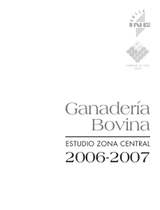 Zona Central 2006-2007