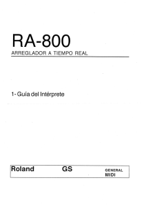 RA-800 - Manuales