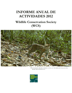 informe anual de actividades 2012 - WCS