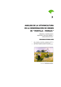análisis de la vitivinicultura en la denominación de origen de