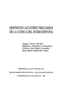 Depósitos lacustres terciarios de la Cuenca del Duero (España)