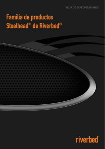 Familia de productos Steelhead® de Riverbed