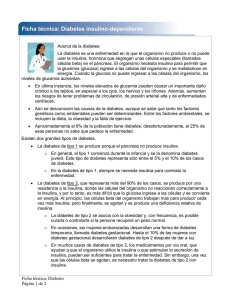 Checklist: Insulin Dependent Diabetes