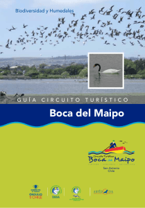 Descargar archivo - Humedal Río Maipo