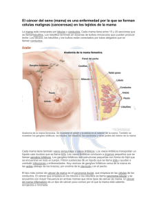 El cáncer del seno (mama) - dr. jose maría togo peraza
