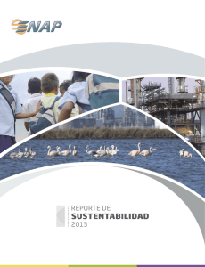 REPORTE DE SUSTENTABILIDAD ENAP 2013
