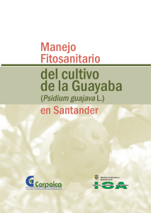 Manejo Fitosanitario del cultivo de la Guayaba