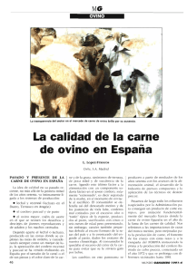 Calidad de la carne de ovino en España