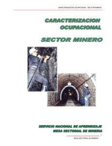 mesa sectorial de mineria - Repositorio Institucional del Servicio